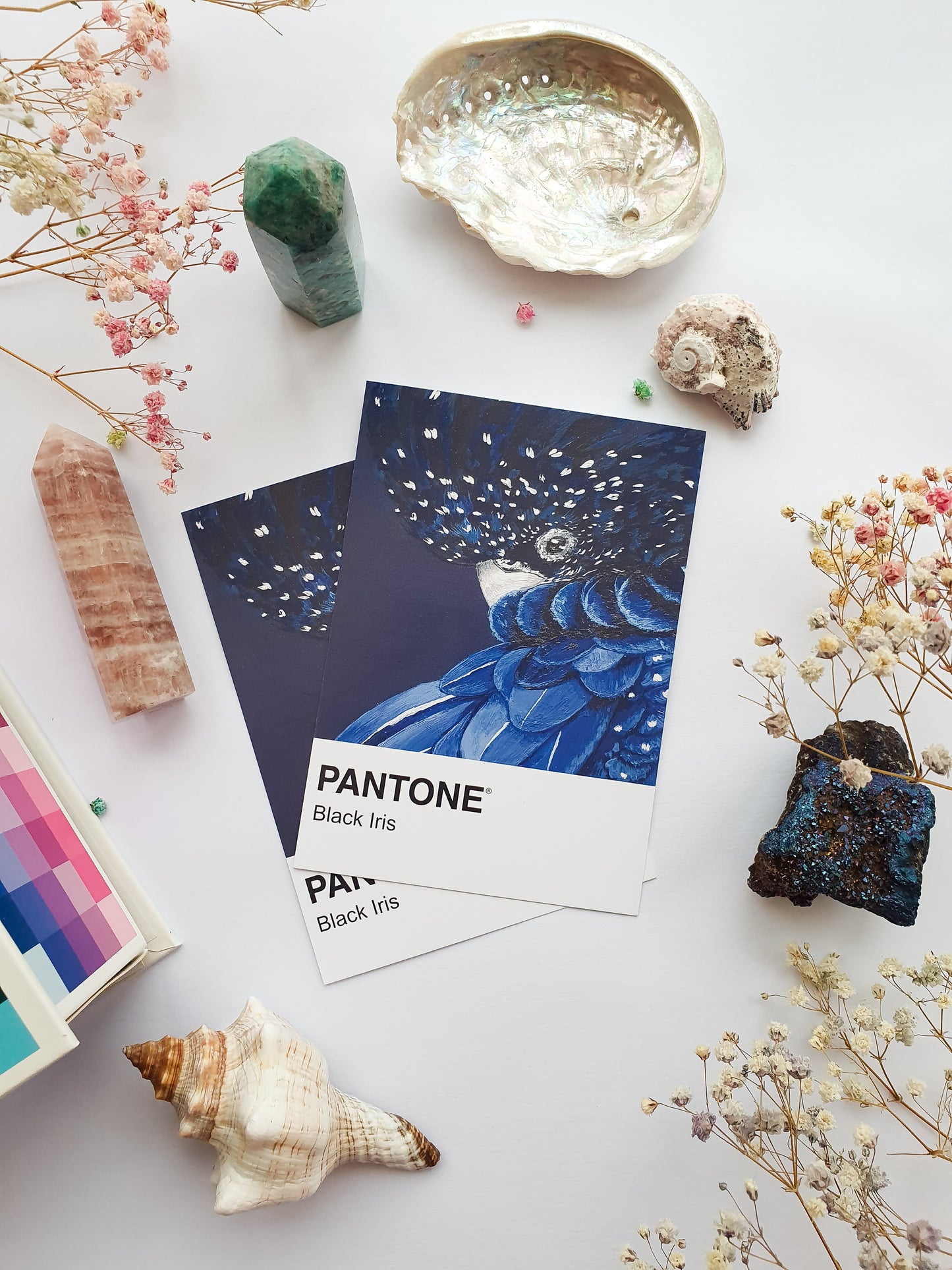 Black Iris Pantone Print - A5 Postcard