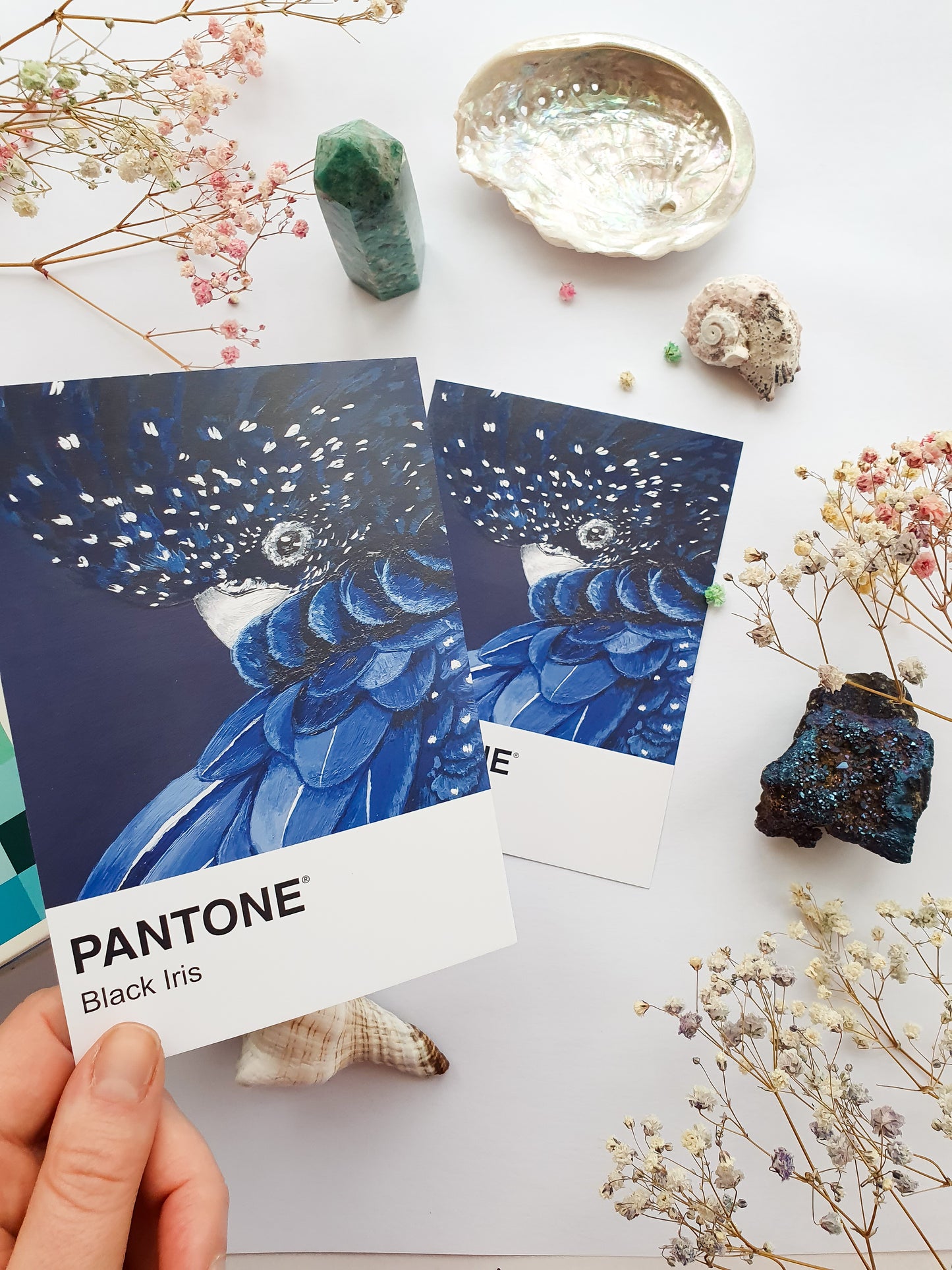 Black Iris Pantone Print - A5 Postcard