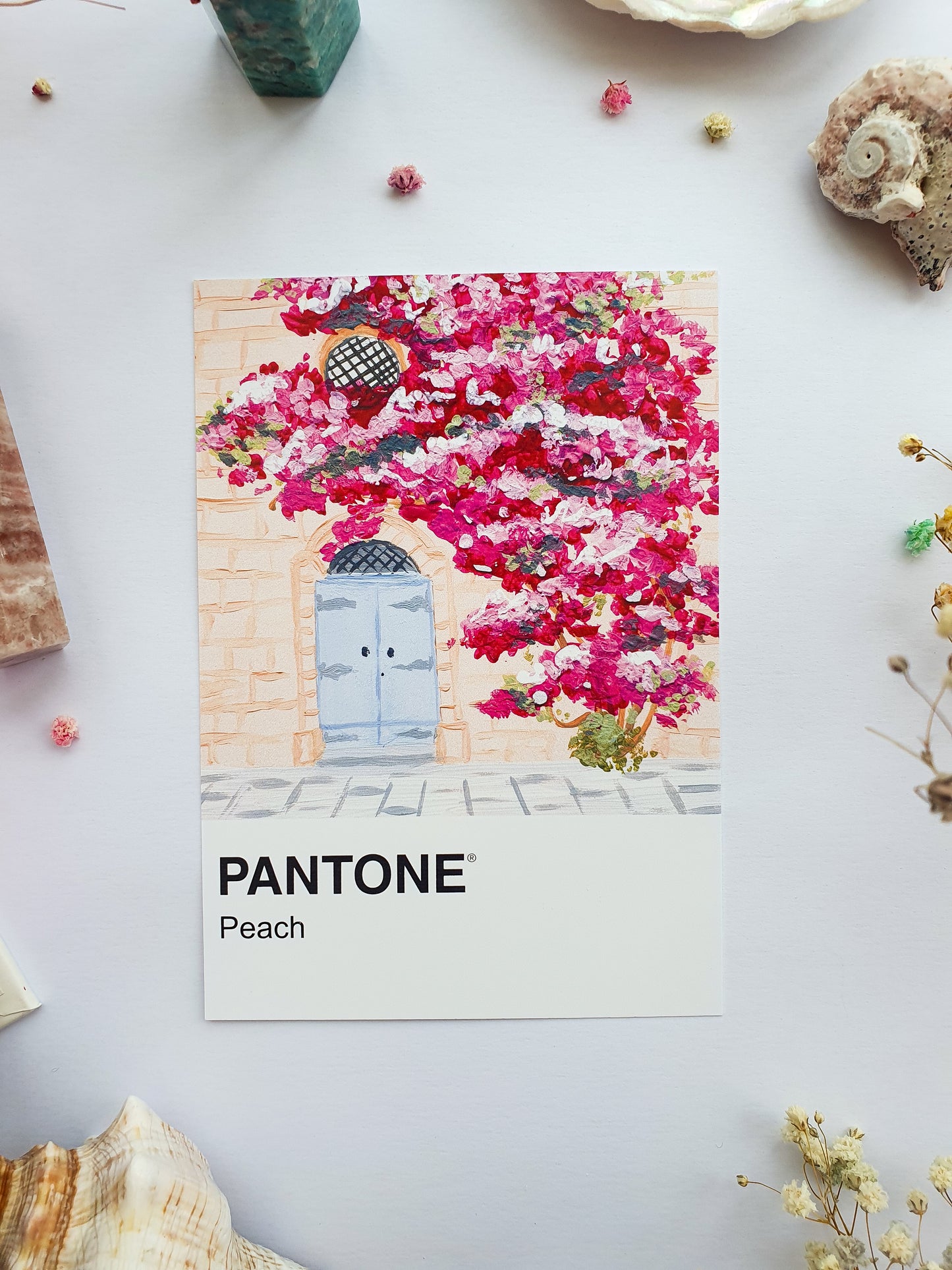 Peach Pantone Print - A5 Postcard