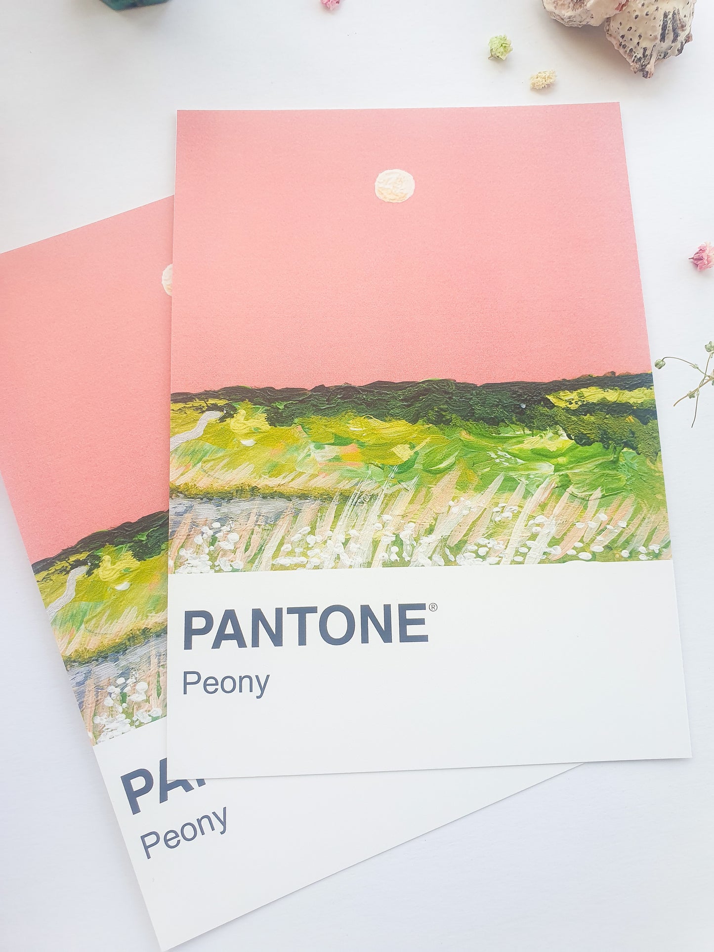 Peony Pantone Print - A5 Postcard